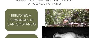 locandina cristian gori